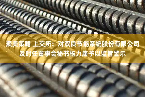 聚美策略 上交所：对双良节能系统股份有限公司及时任董事会秘书杨力康予以监管警示