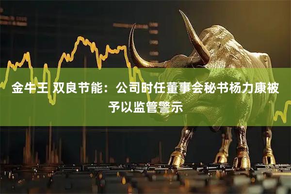金牛王 双良节能：公司时任董事会秘书杨力康被予以监管警示